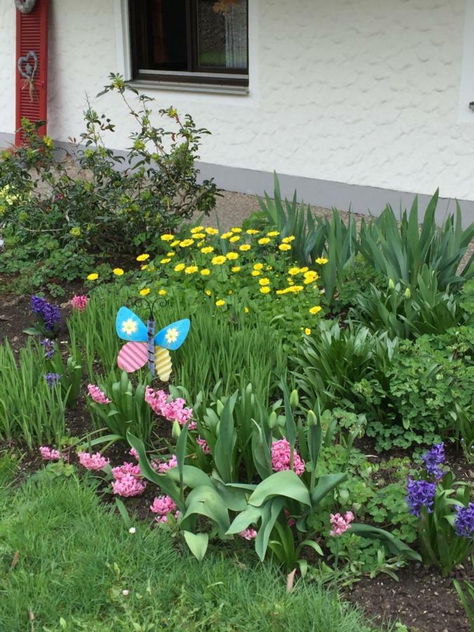 Ferienwohnung Pusteblume Alpirsbach Zewnętrze zdjęcie