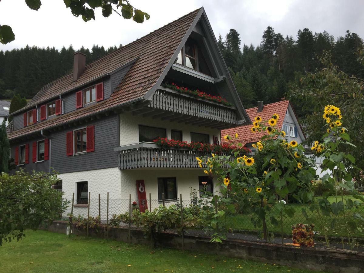 Ferienwohnung Pusteblume Alpirsbach Zewnętrze zdjęcie